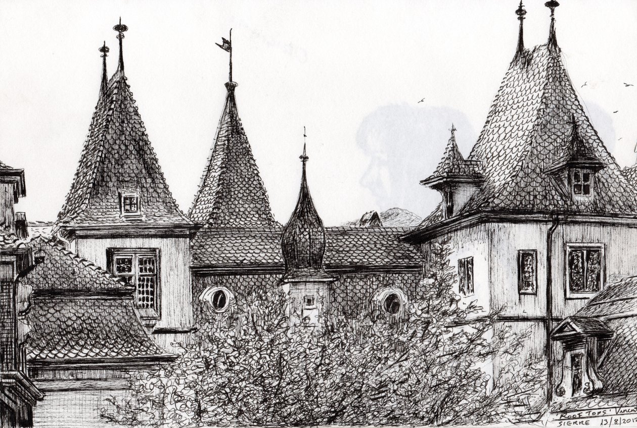 Sierre Rooftops Switzerland、2012、（紙にインク） 作： ヴィンセントアレクサンダーブース