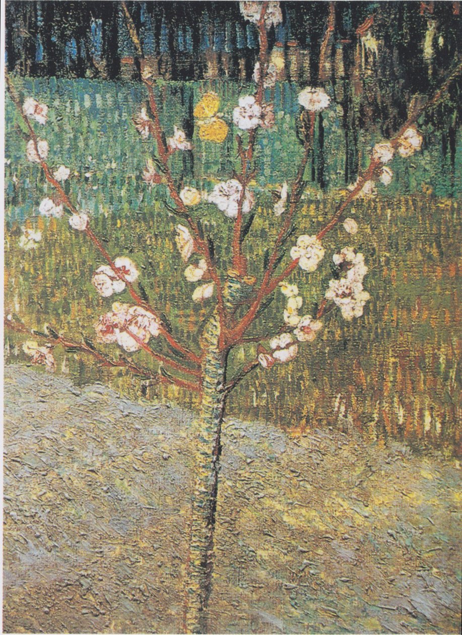 開花アーモンドの木 作： ヴィンセント・ヴァン・ゴッホ