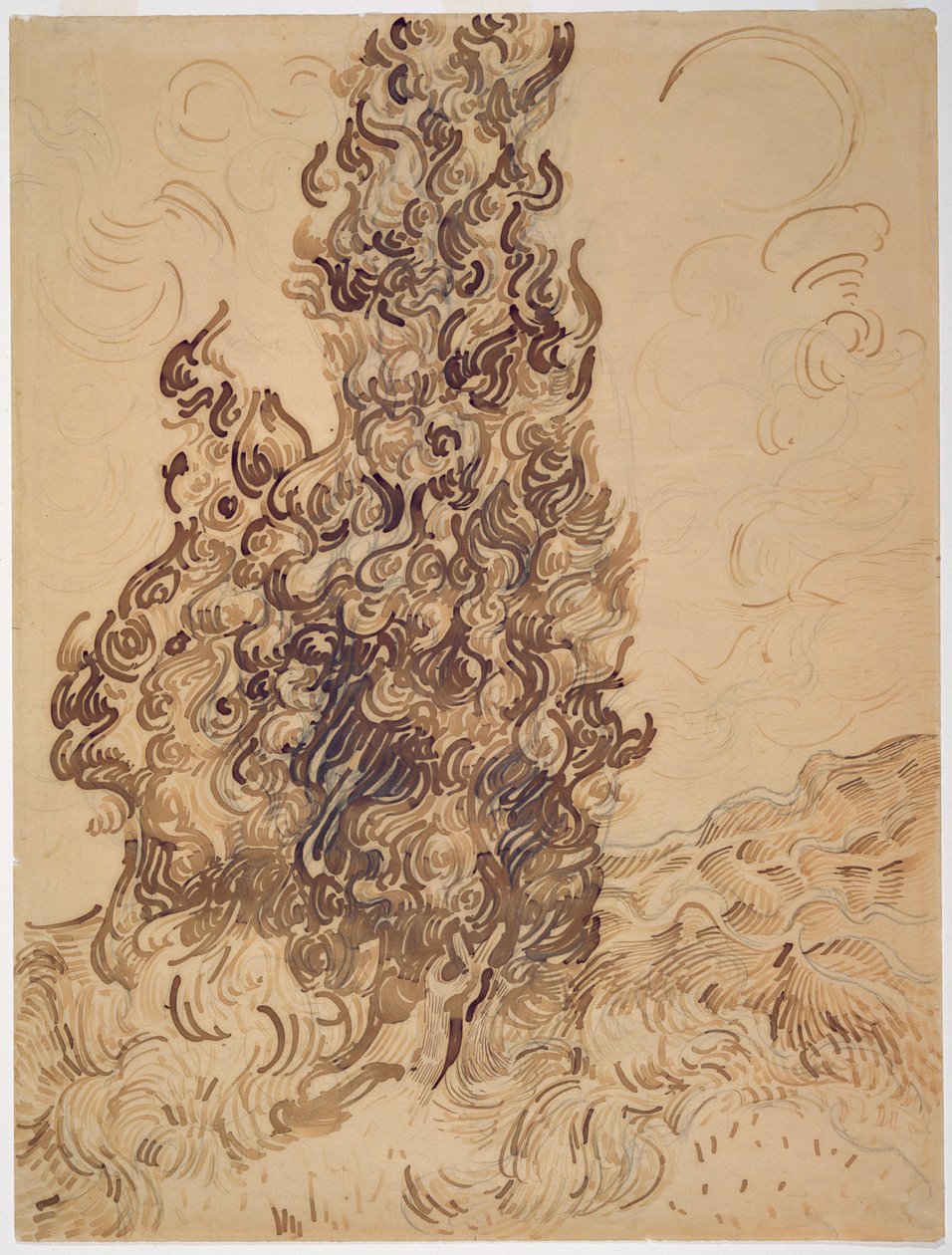 糸杉、1889年（リードペン、グラファイト、羽ペン、紙に茶色と黒のインク） 作： ヴィンセント・ヴァン・ゴッホ