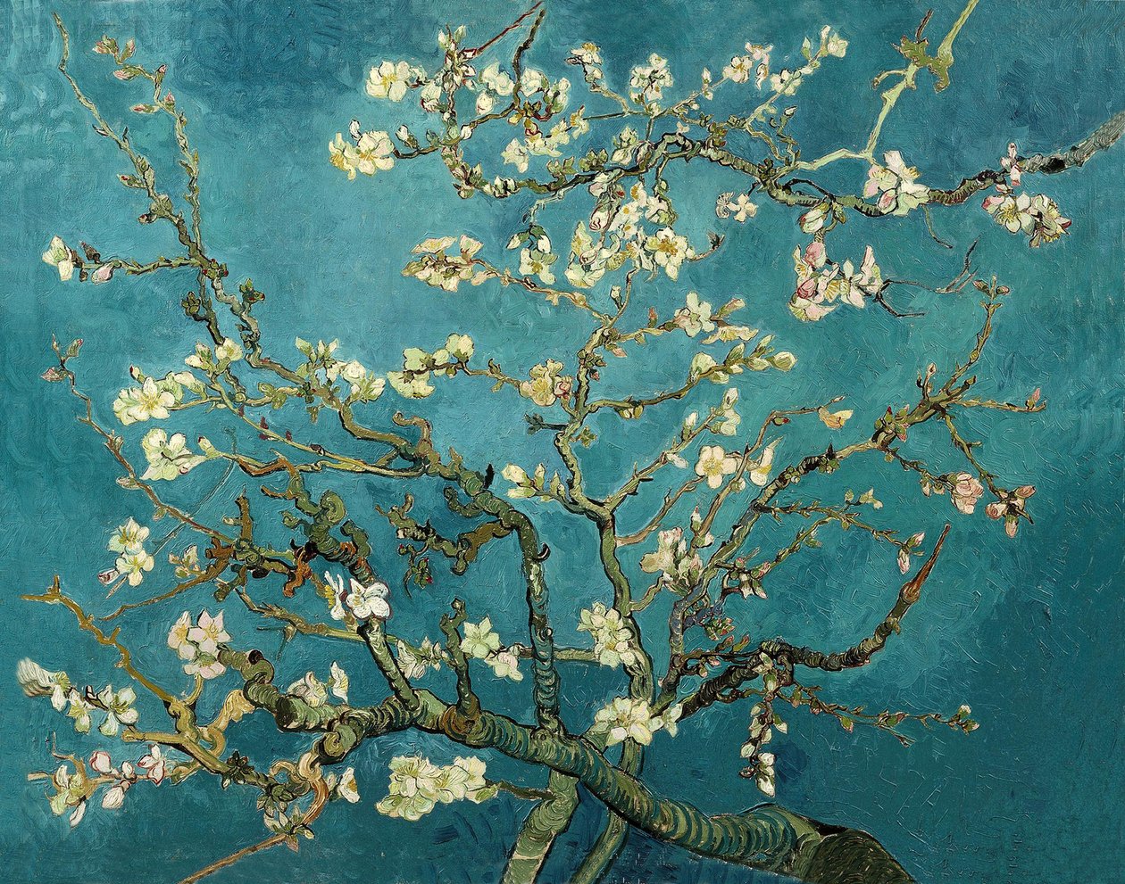 アーモンドの花 作： ヴィンセント・ヴァン・ゴッホ
