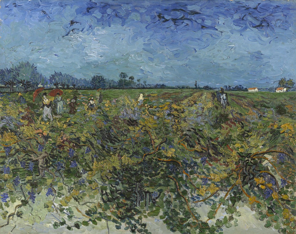 グリーン ヴィンヤード、1888 年。 作： ヴィンセント・ヴァン・ゴッホ