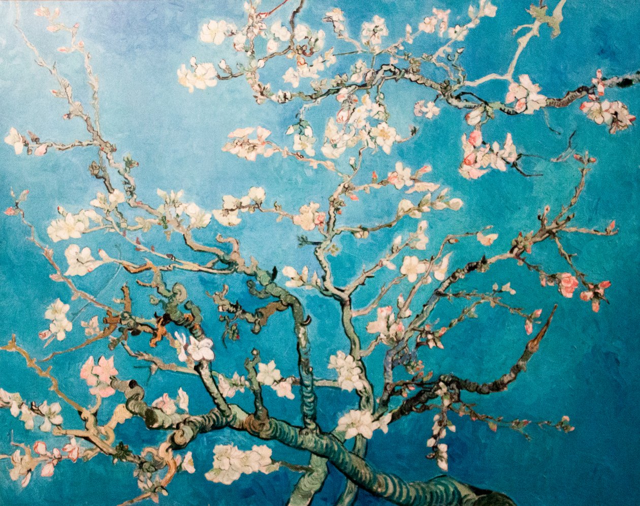 オランダ語： Amandelbloesem 花咲くアーモンドの枝の木 作： ヴィンセント・ヴァン・ゴッホ