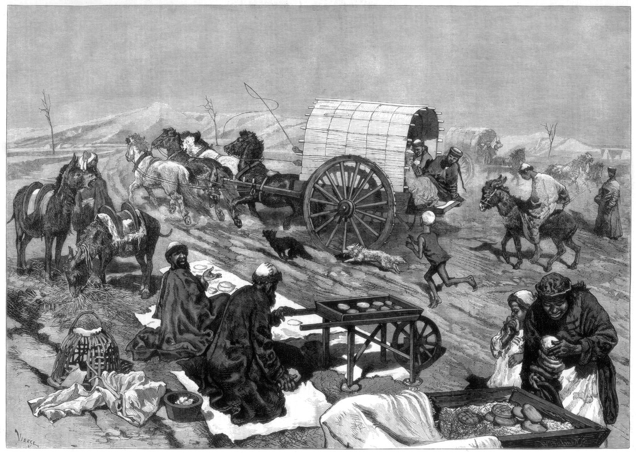 女性の総集編、カシガル、中央アジア、1875年。 作： W.パーマー