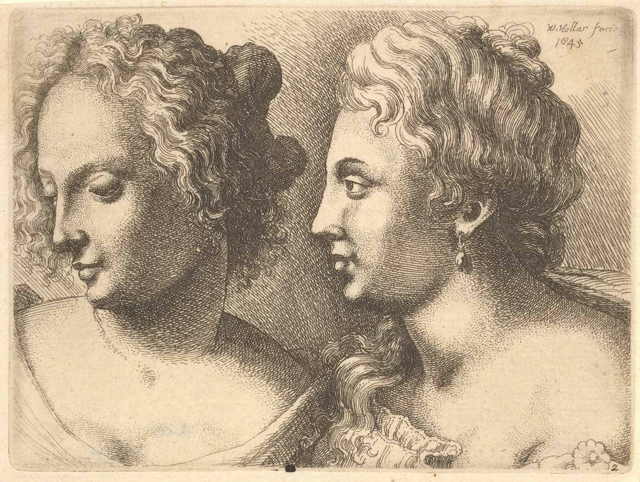 1645年、2人の若い女性の頭。 作： ヴァーツラフ・ホラー