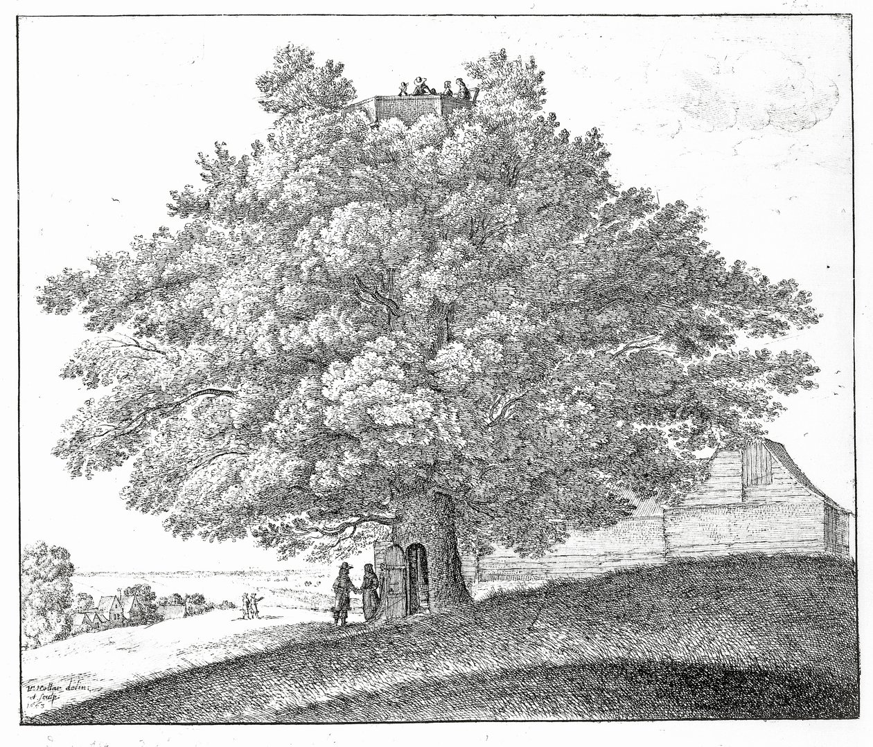 ハムステッドの中空の木、1663年 作： ヴァーツラフ・ホラー