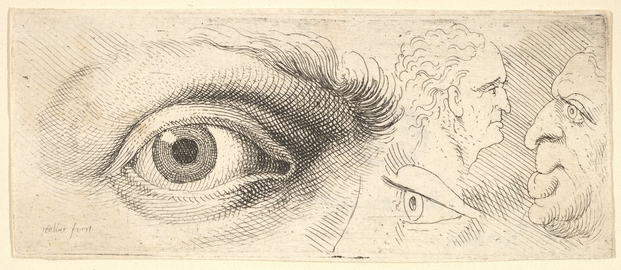 2つの目と2つの頭、1644-52。 作： ヴァーツラフ・ホラー