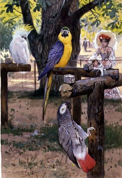 動物園にて 作： ウィルヘルム・クナート