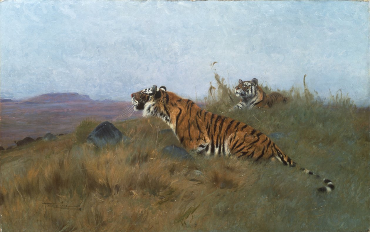 獲物を狙うタイガー（絵画 作： ウィルヘルム・クナート