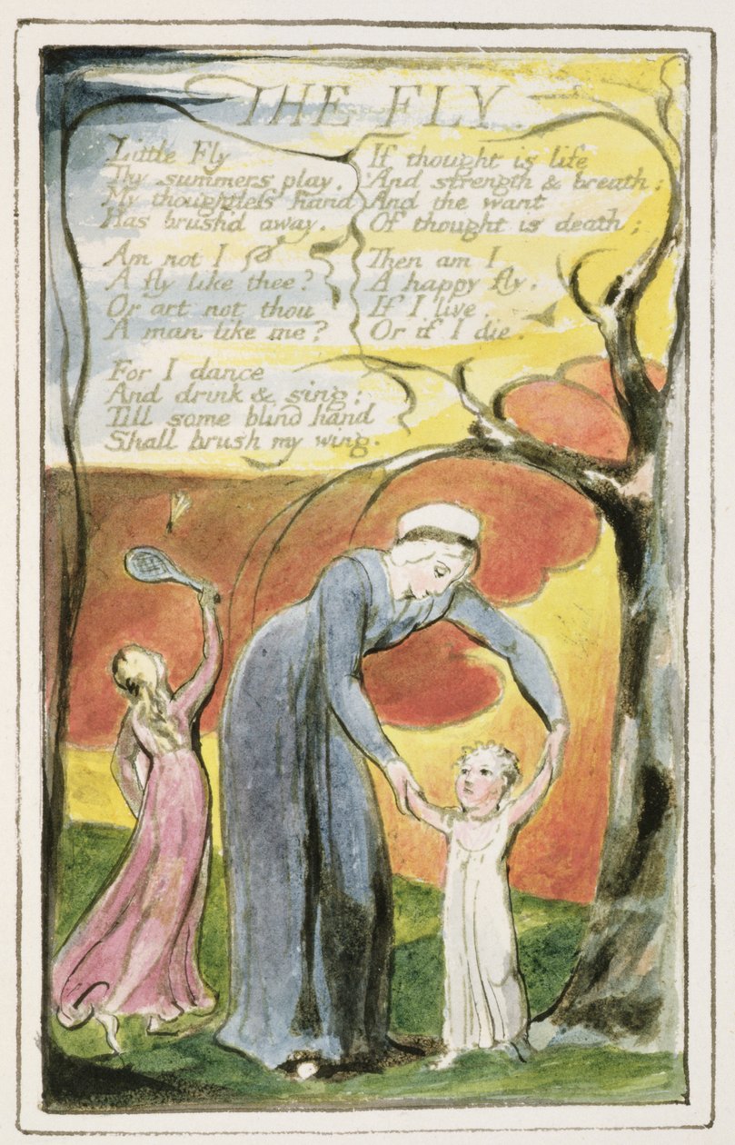 P.124-1950.pt41 The Fly： &39;Songs of Innocence and of Experience&39;（copy R）c.1802-08（etching、ink and wc）のプレート41 作： ウィリアム・ブレイク