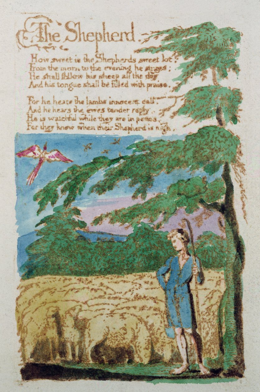 羊飼い、イノセンスの歌、1789年（色のエッチング） 作： ウィリアム・ブレイク