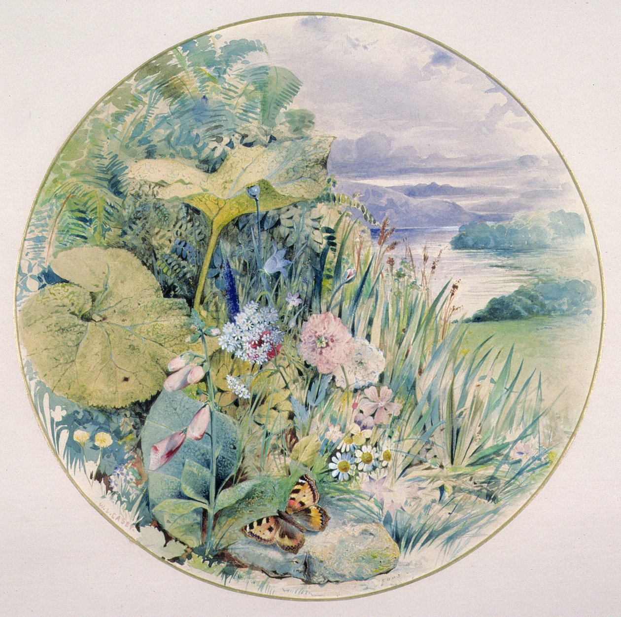 湖水地方の野生の花と植生 作： ウィリアム・リンネ・ケイシー