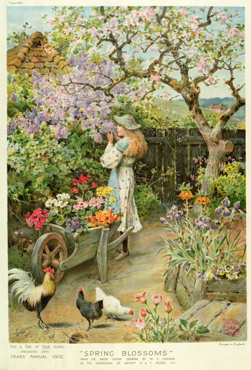 春の花、ナシ年次、1902年から 作： ウィリアムスティーブンコールマン