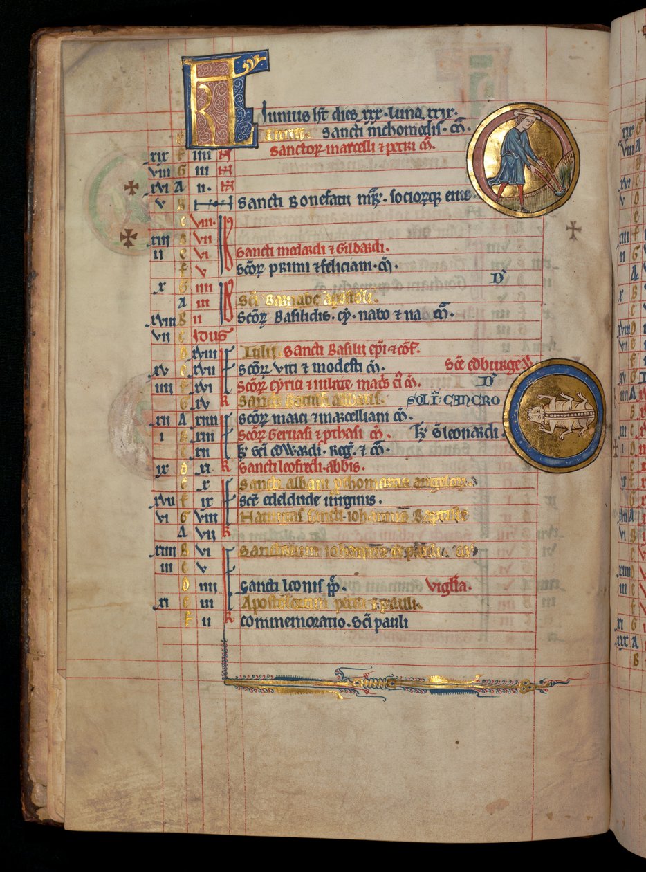 Ms 322 f.3v、6月、除草した男性、「De Brailes Psalter」のイラスト、c.1250 作： ウィリアム・ド・ブレイルズ
