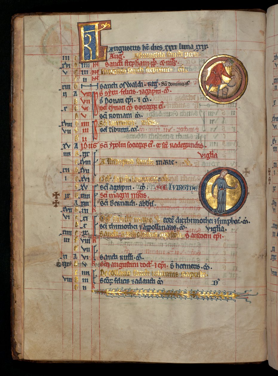Ms 322 f.4v、8月、トウモロコシを刈る男、「De Brailes Psalter」のイラスト、c.1250 作： ウィリアム・ド・ブレイルズ