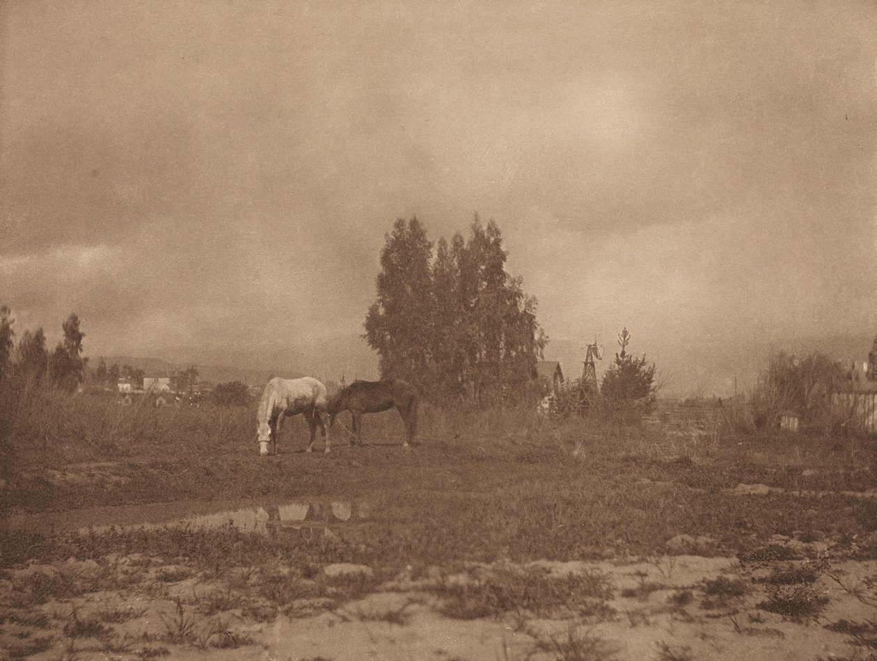 パサデナの風景」1899年 作： ウィリアムBポスト