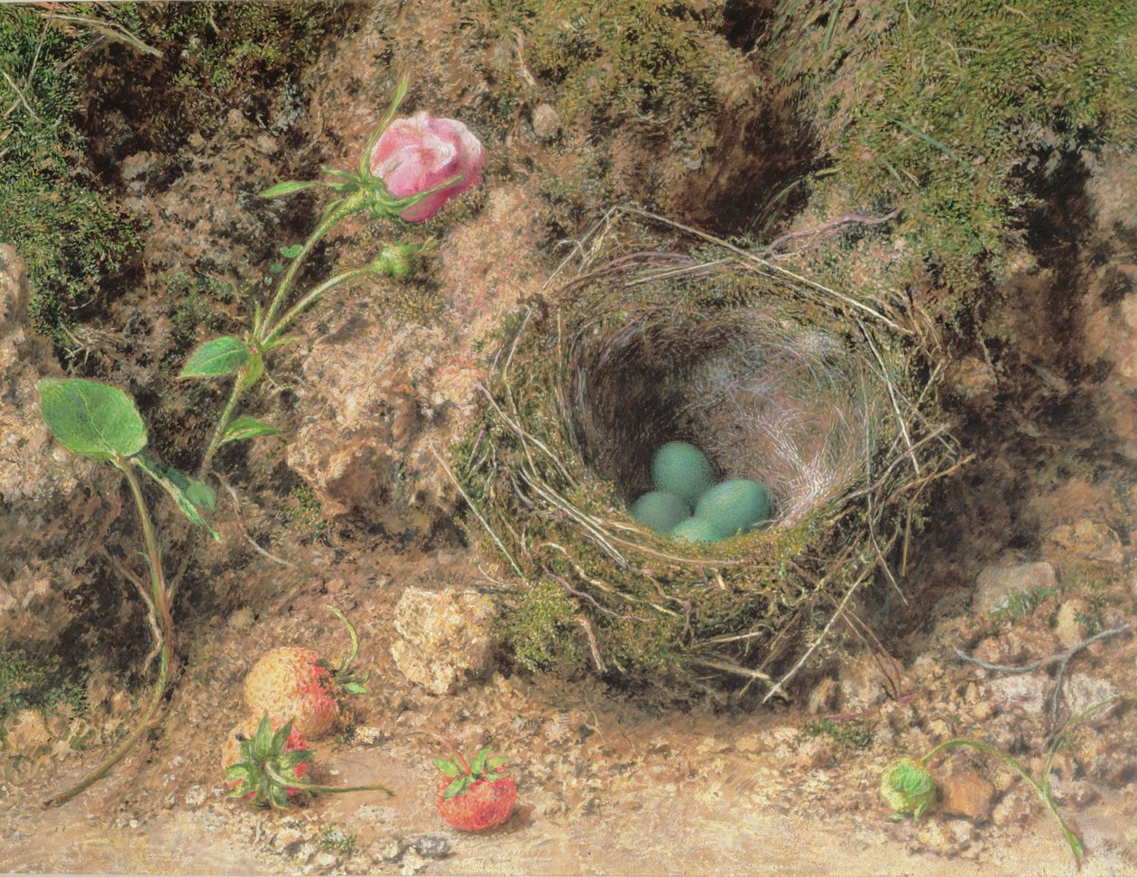 鳥の巣のある静物 作： ウィリアム・ヘンリー・ハント