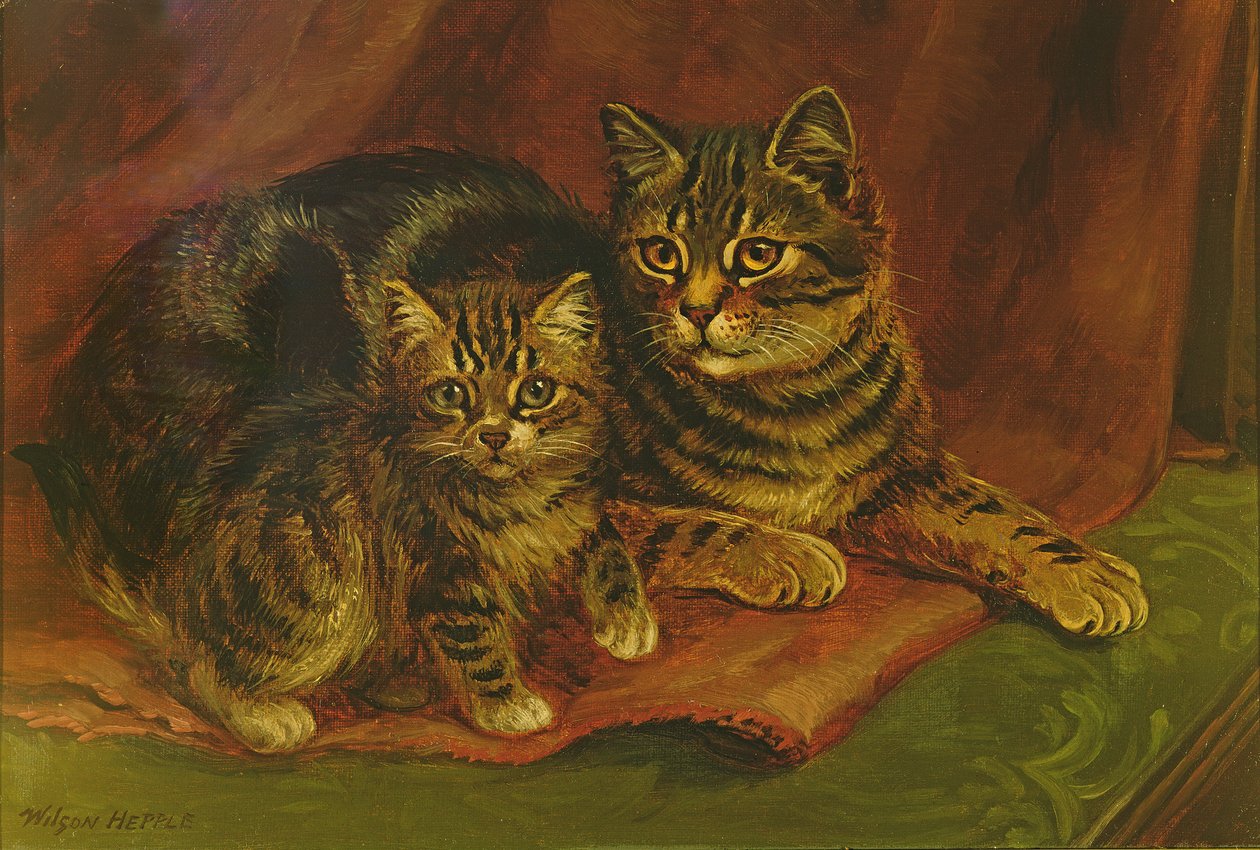 子猫とトラ猫 作： 