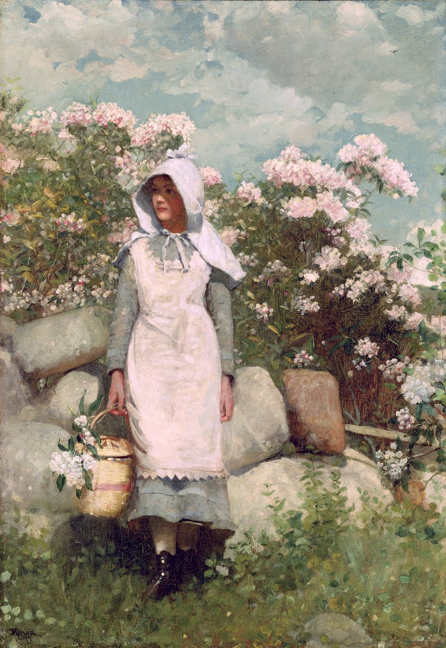 少女と月桂樹、1879 作： ウィンスロー・ホーマー