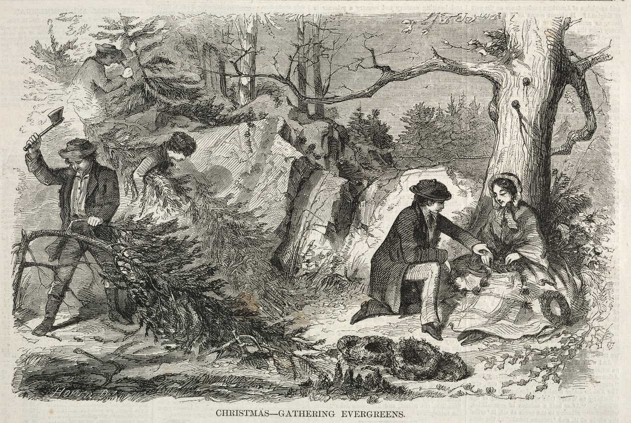 クリスマス-エバーグリーンの集まり、1858年。 作： ウィンスロー・ホーマー