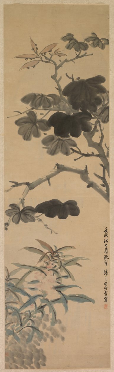 顕花植物 作： 呉熙載