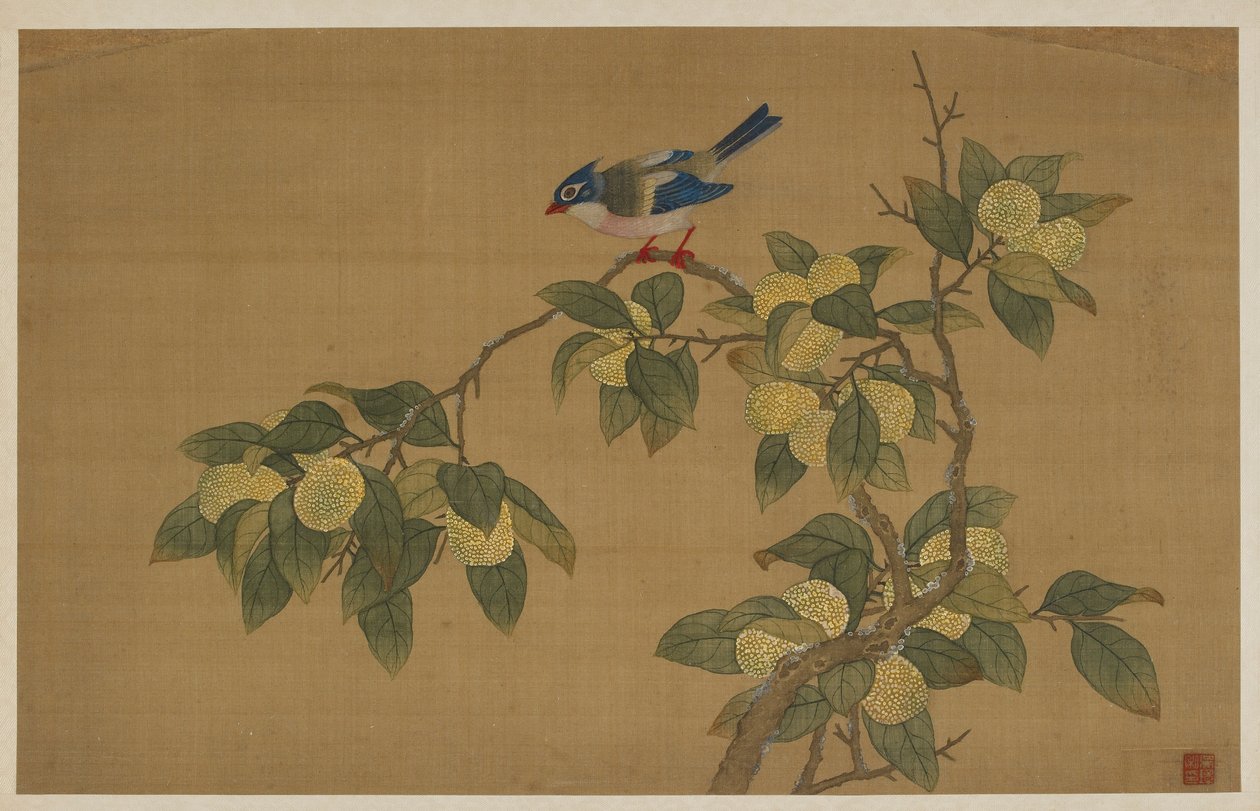 鳥と果物 作： 呉張