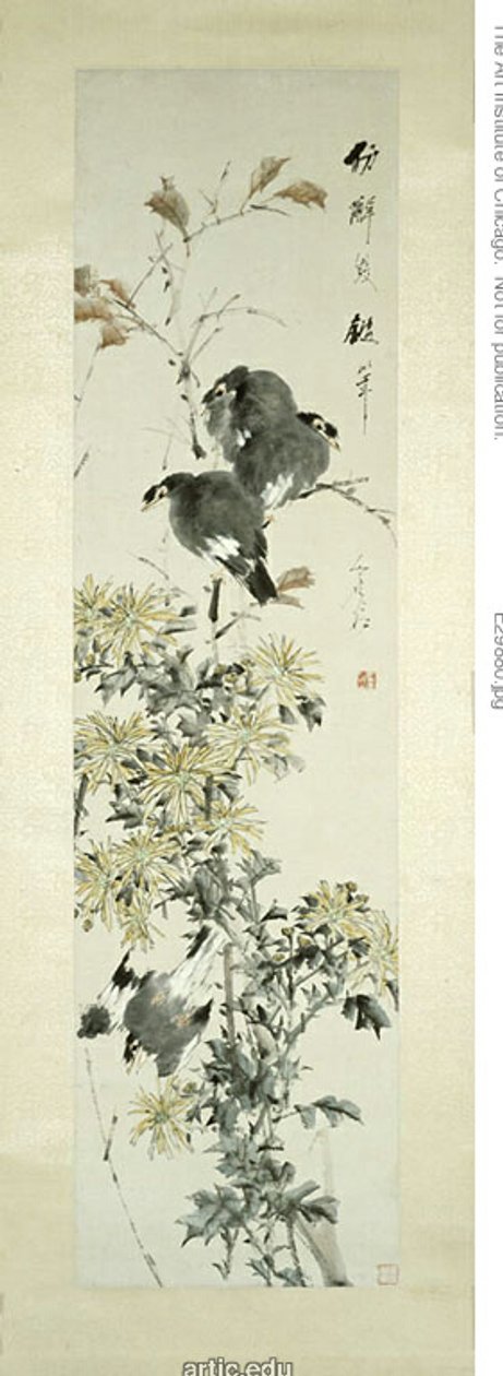 カンムリマイナ鳥と菊 作： スグ