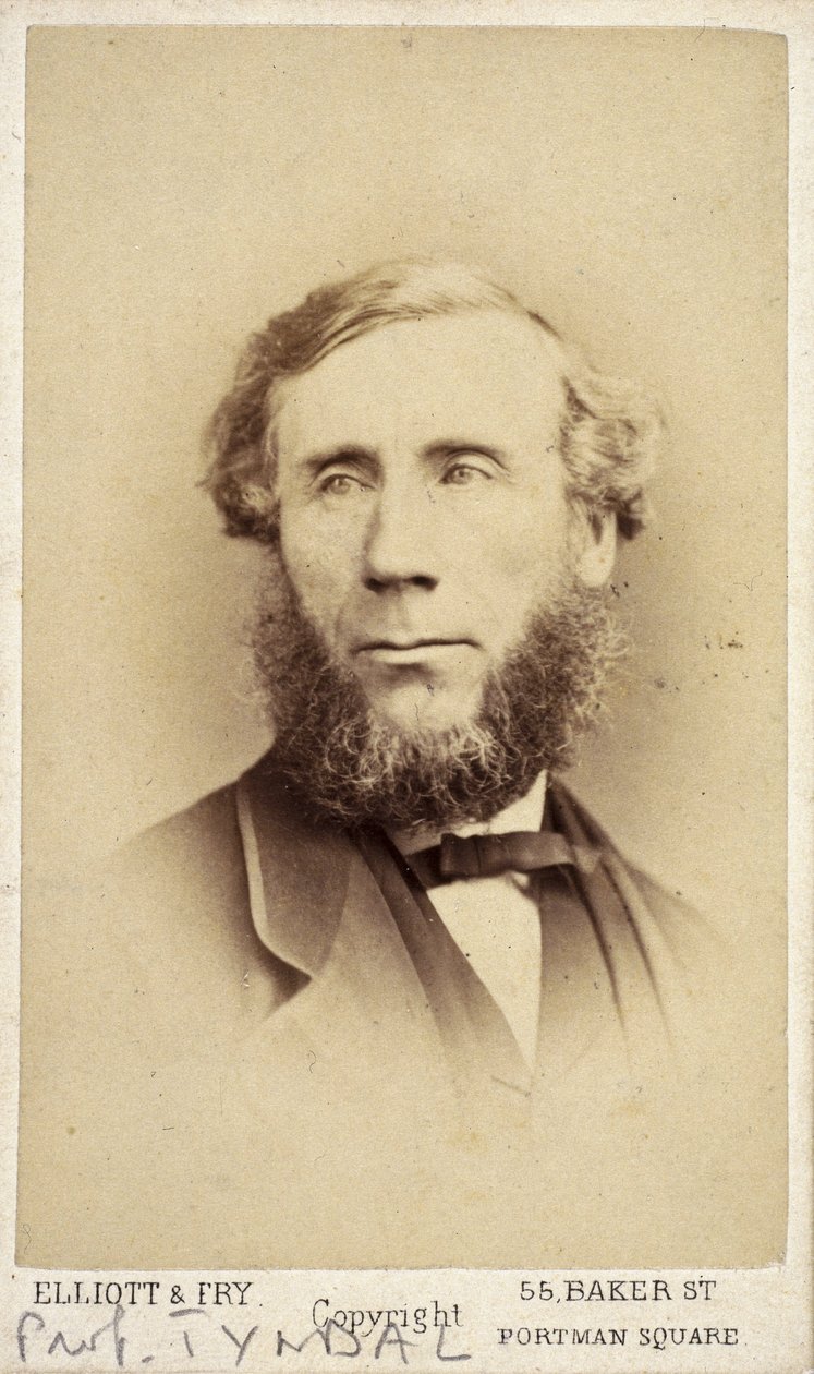 John Tyndall, アイルランドの物理学者, 1875年頃 作： フレデリック (帰属) バーナード