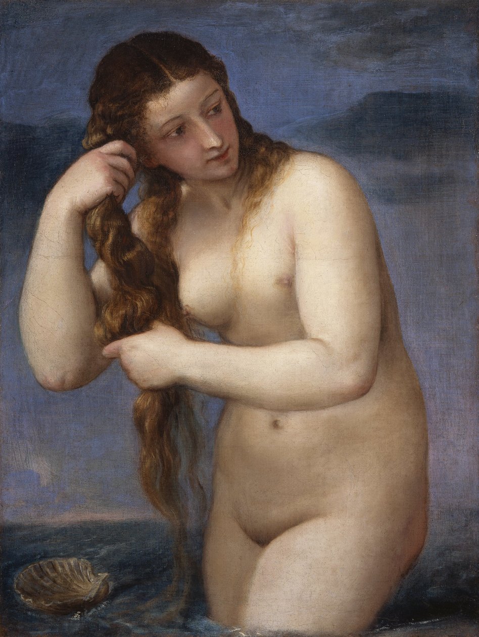 金星のアナディオメン 作： Tiziano Vecelli