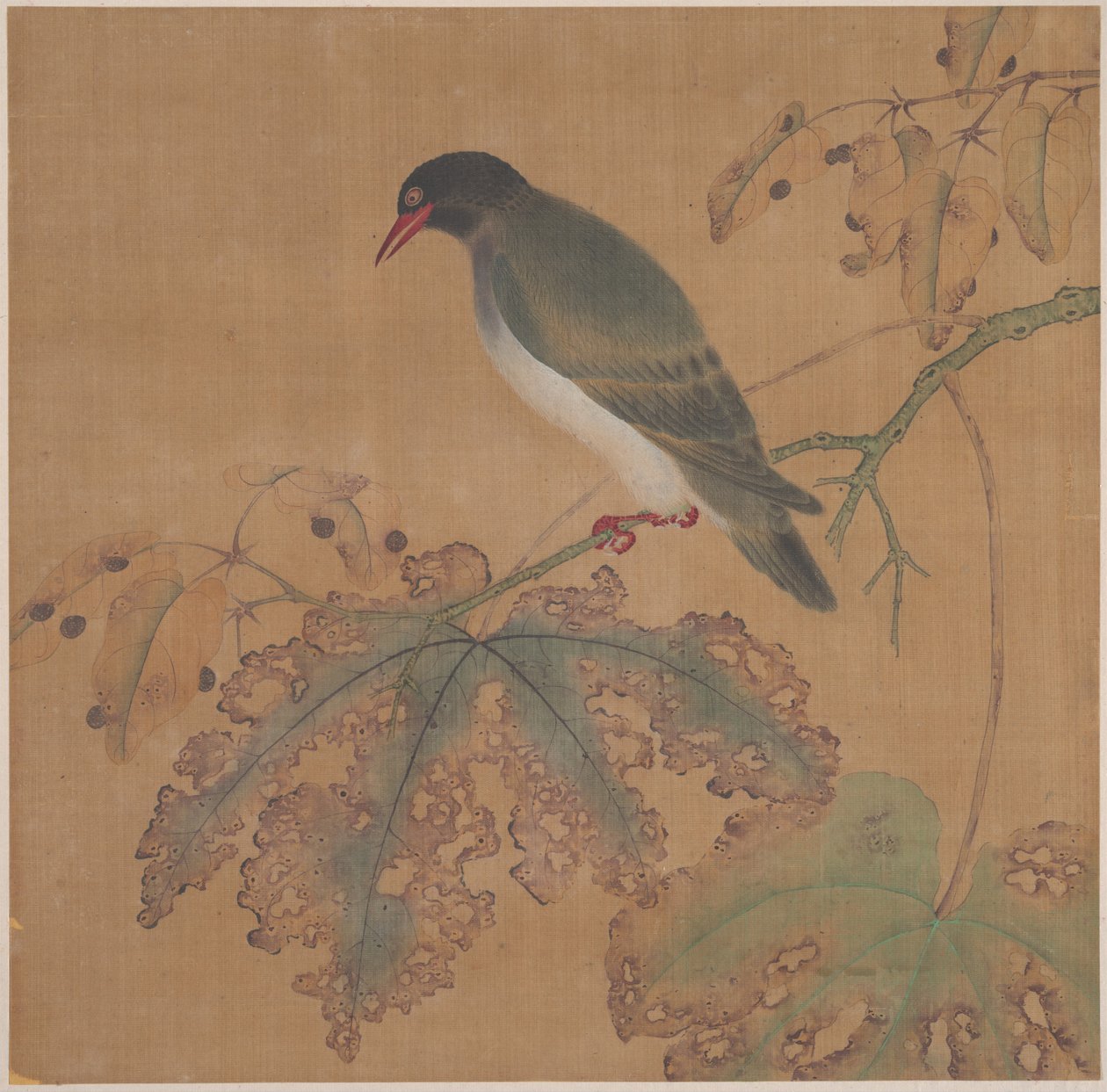 枝の上の鳥 作： 匿名