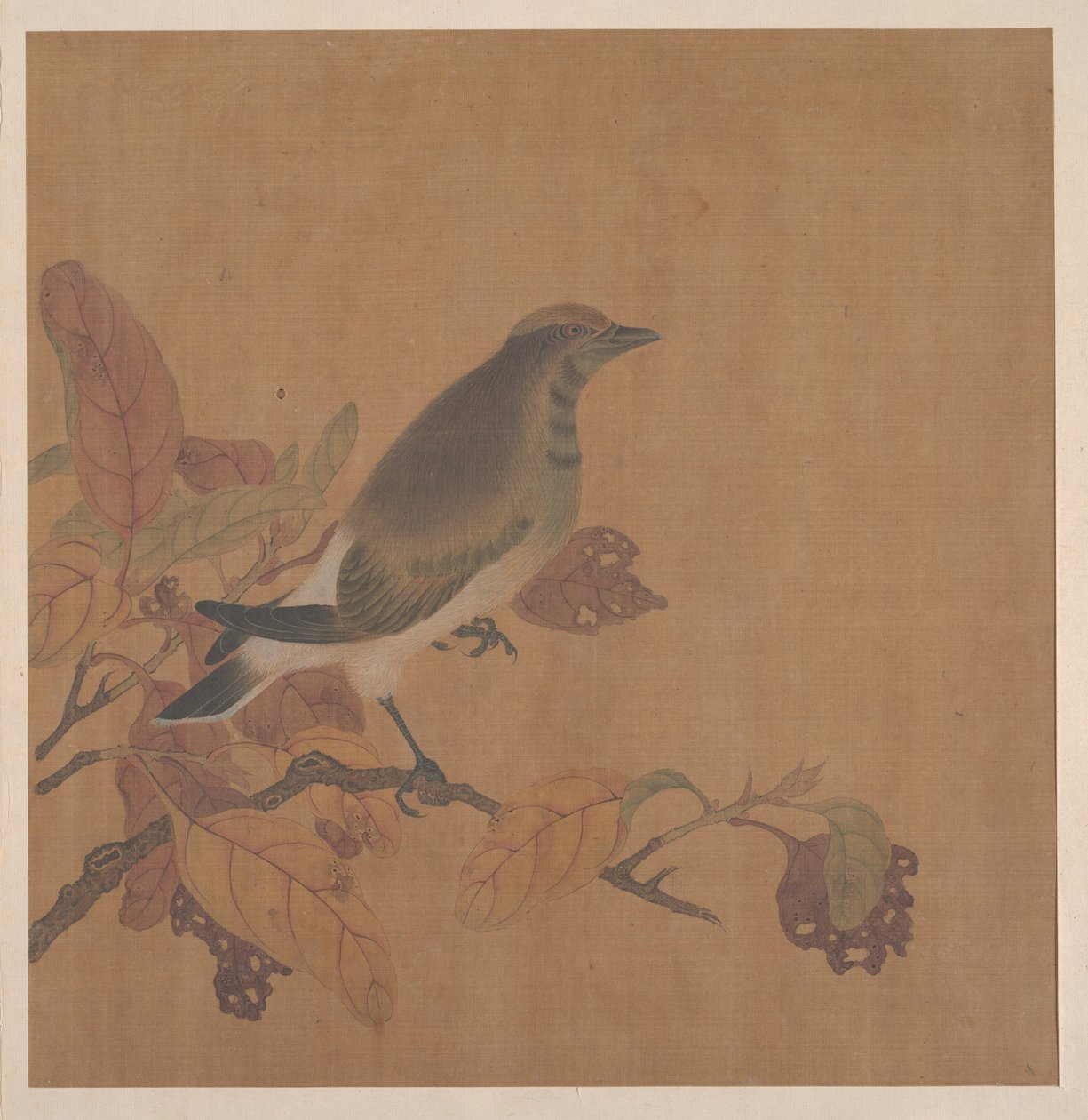 枝の上の鳥 作： 匿名