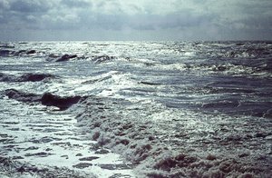 バルト海のほとり バルト海のほとり