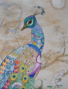 誇り高き孔雀 誇り高き孔雀