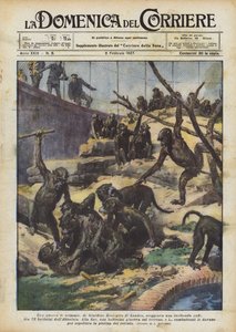 サルの戦争