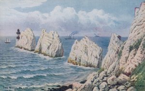 針、ワイト島