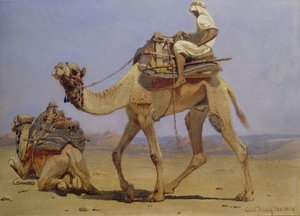 倒れる準備をしているラクダ、1858