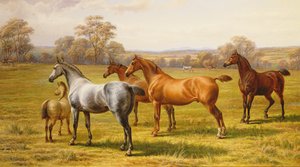 馬と子馬のフィールド