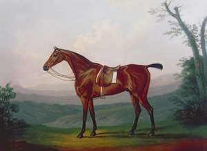 競走馬の肖像