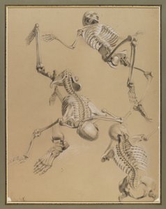 骸骨の研究、1848年（紙にチョーク）