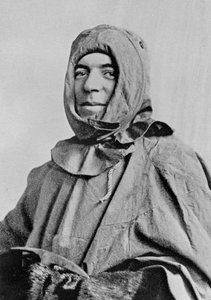 フランク・ハーレー、1914年