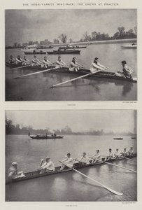 Inter-Varsity Boat-Race、実際のクルー