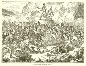 ブサコの戦い、1810年