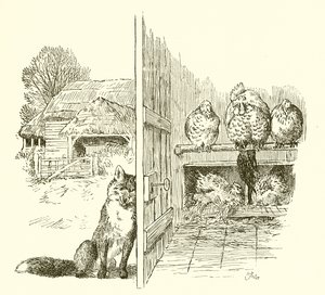 鶏小屋の外の狐