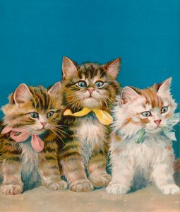 3つの小さなキット