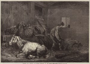 馬小屋の馬