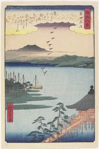 1857年3月、カタダでのガチョウの帰巣