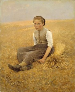 リトルグリーナー、1884