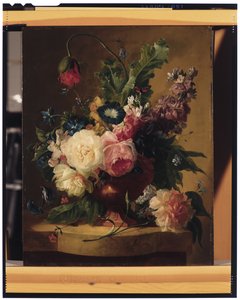花の静物