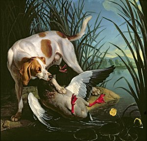 野生のアヒルの犬
