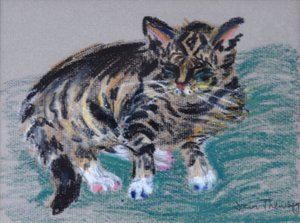 ぶち猫、2005（パステル）