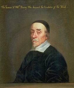 ウィリアム・ハーヴェイの肖像（1578-1657）